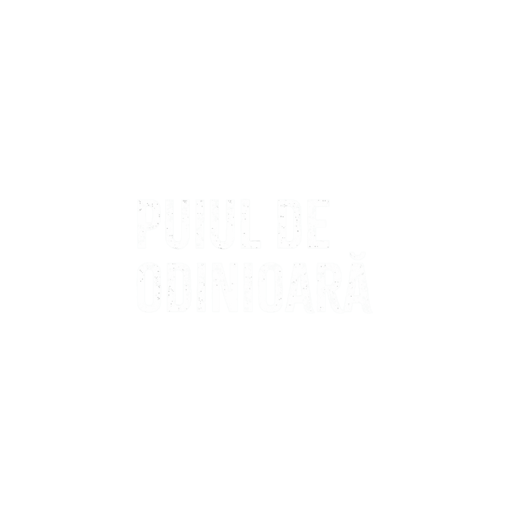 Puiul de Odinioară